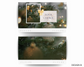 Evergreen Holiday Envelopes